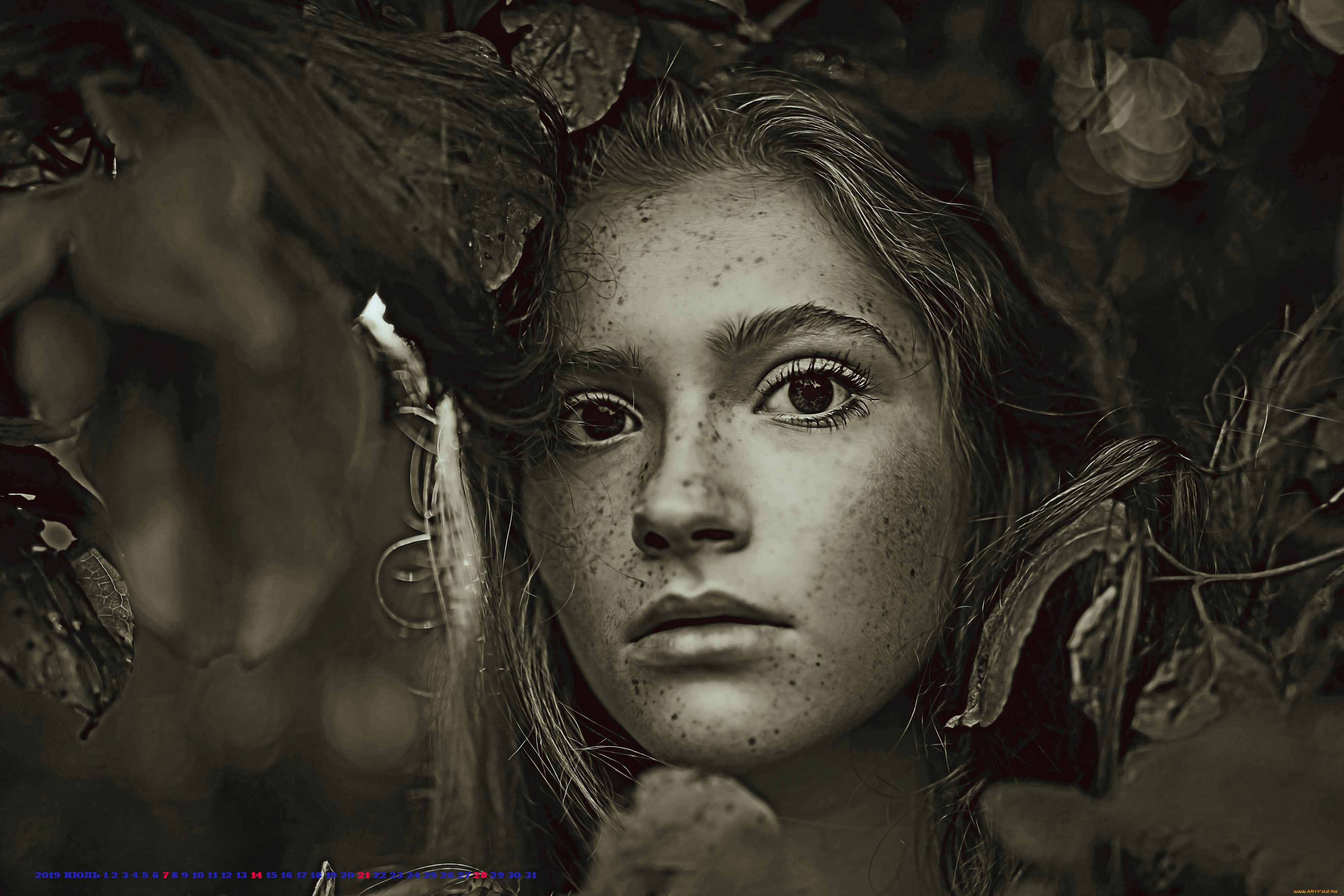 ,  , 2019, calendar, , , , , 